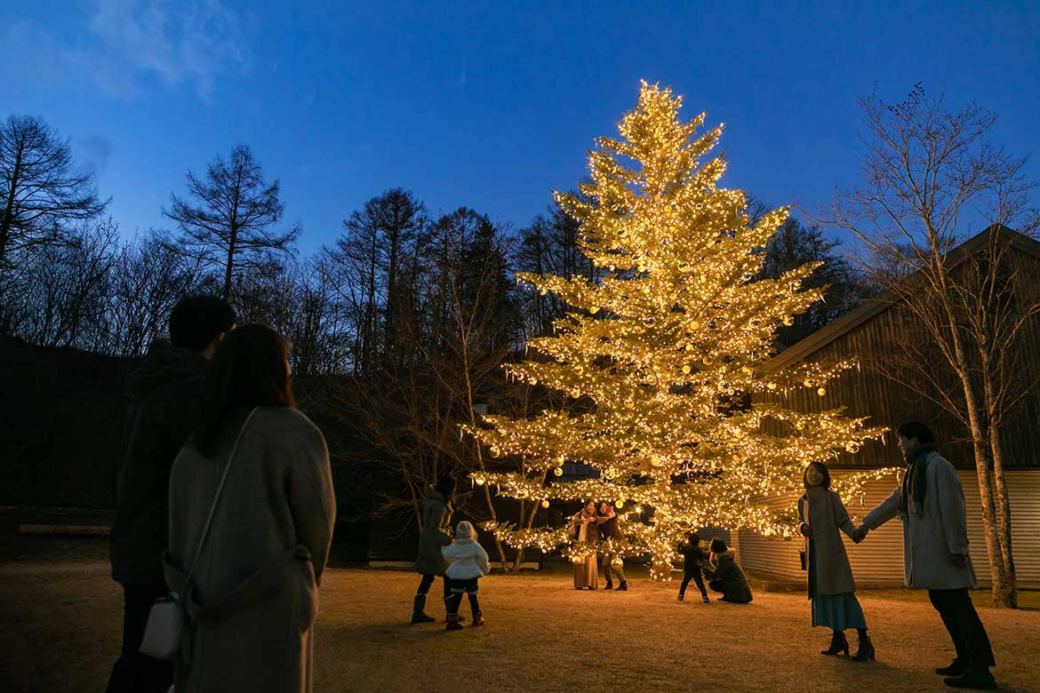 軽井沢星野エリア、高さ10mのもみの木のクリスマスツリーが出現「軽井沢星野エリアのクリスマス2022」開催