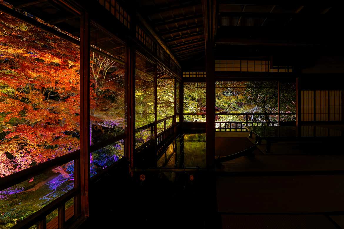 「そうだ 京都、行こう。」2022年秋 紅葉の見頃に突入！まだ間に合う秋の京都観光プラン