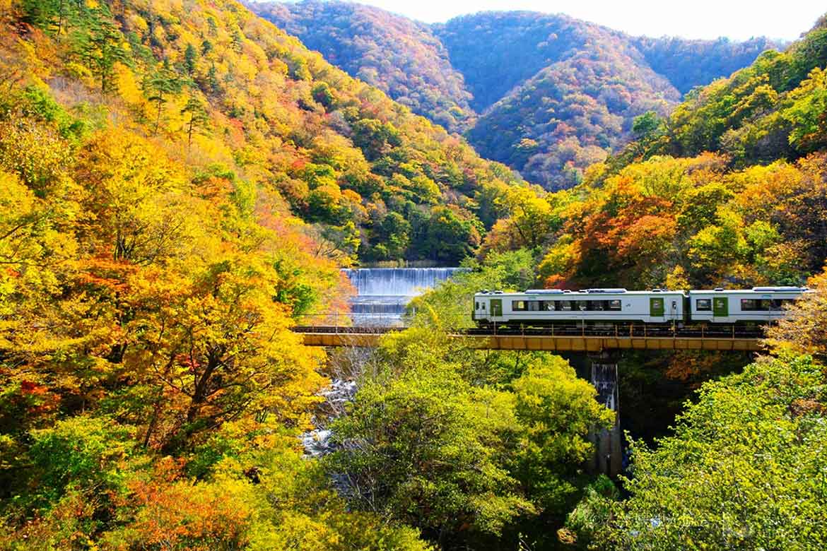 三陸エリアの紅葉が秘かな人気。JR山田線 大峠ダム周辺で10月中旬に鮮やかな紅葉が見頃に