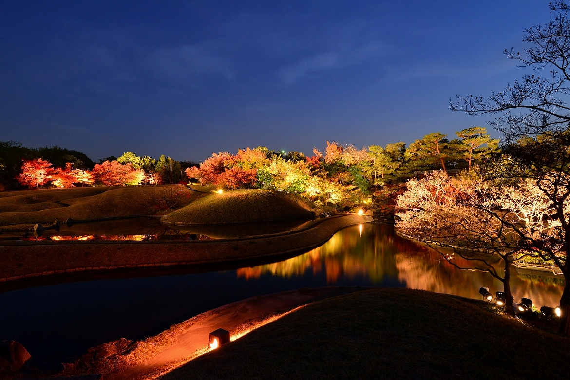梅小路公園で紅葉まつり！幻想的なライトアップを体感しよう！
