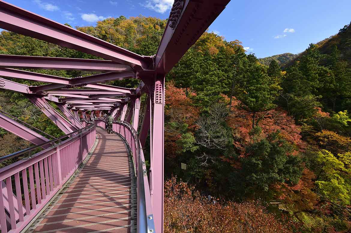 秋の風物詩・紅葉と「あやとりはし」を観に行こう！