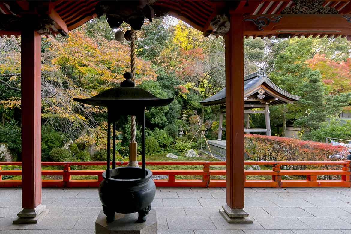 寺内の静寂な空間と紅葉に癒される「薬王院温泉寺」