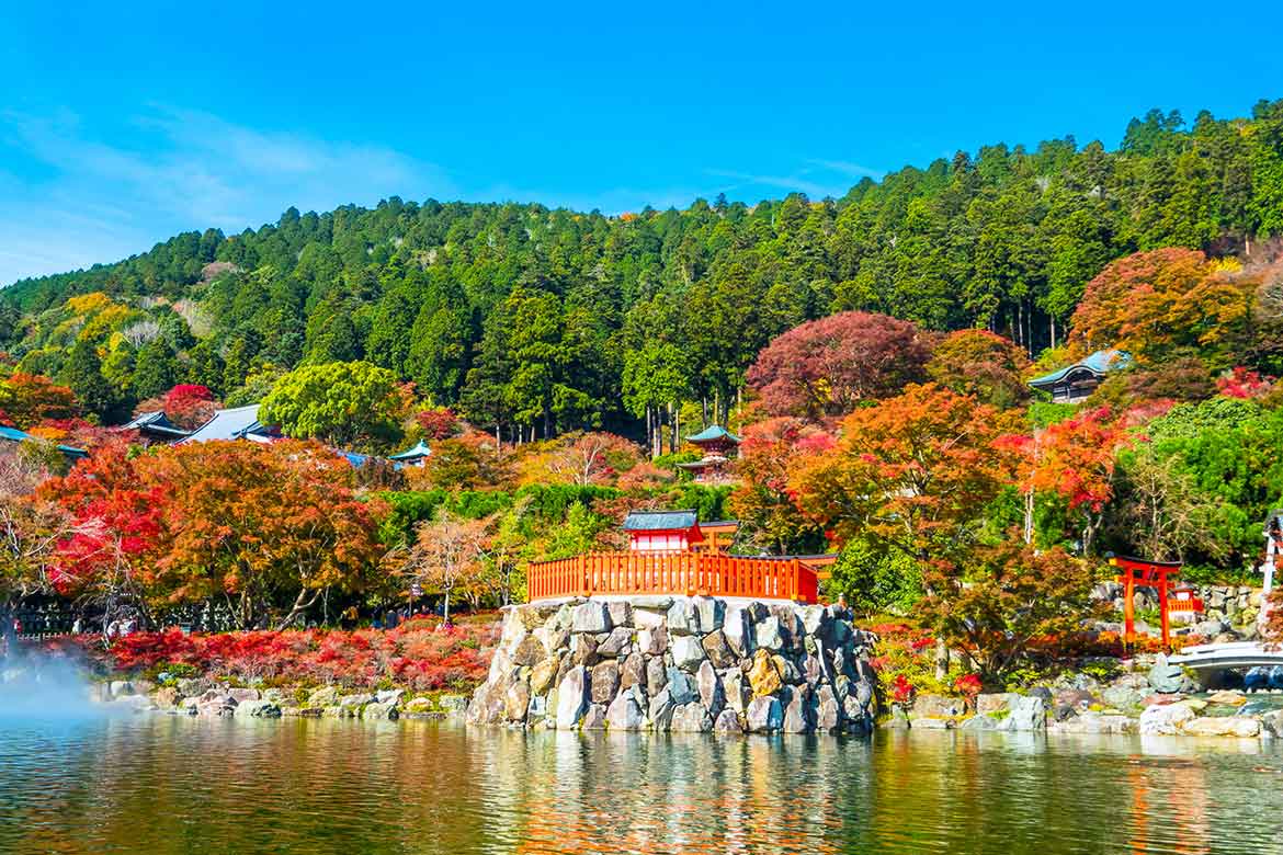 大阪府箕面市を巡る秋旅。日帰りドライブで五感を刺激する大人の休日