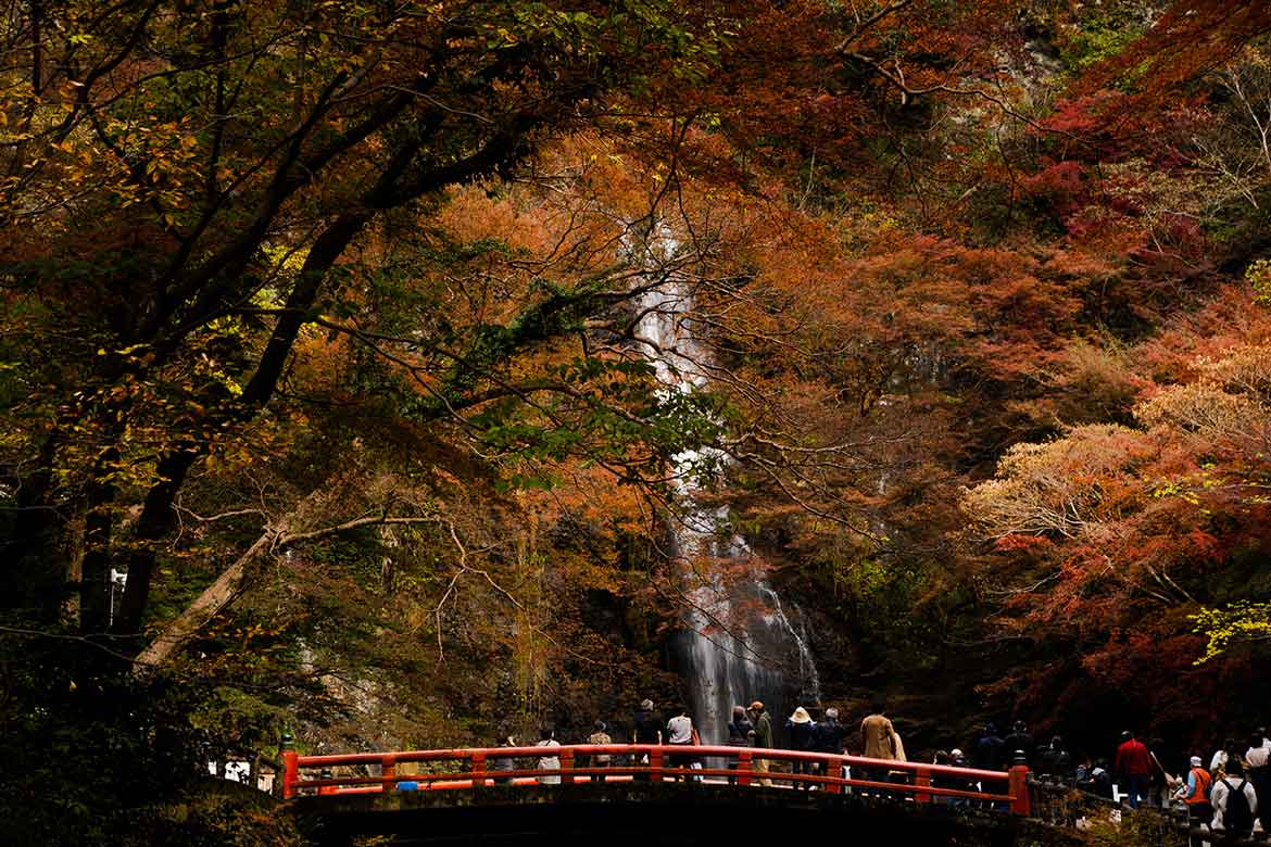 四季折々の景色とマイナスイオンたっぷりの滝に癒される「箕面公園」