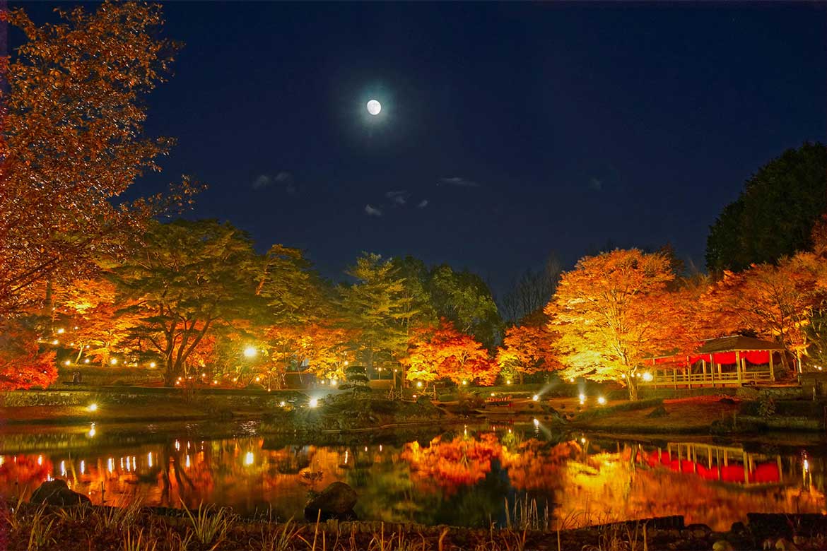 晩秋の修善寺虹の郷にて『もみじライトアップ』開催！夜空を彩る「願いを込めて！虹の郷スカイランタン」「秋の花火大会」も