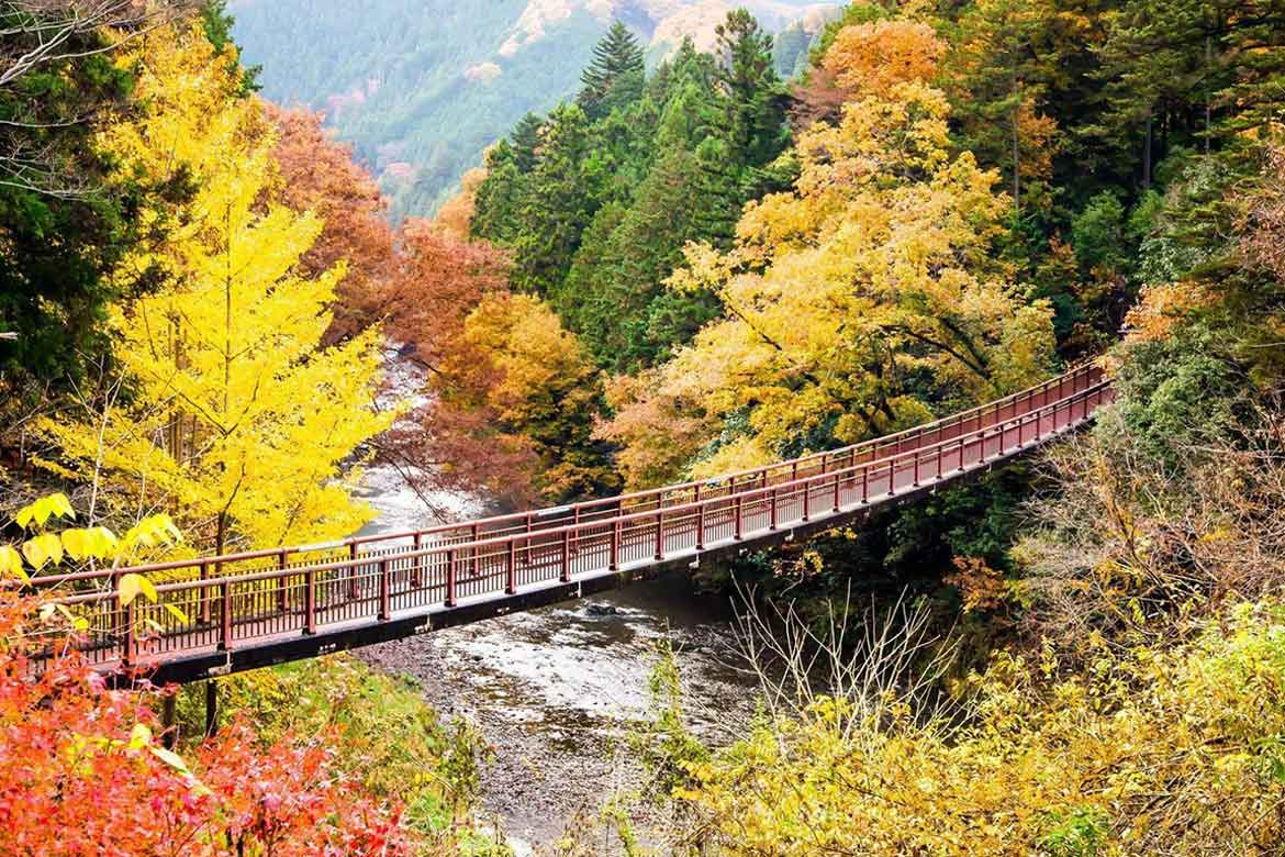 紅葉が美しい東京・秋川渓谷で新たな観光モビリティ「東京渓谷サイクリング」がスタート！乗り捨ても可能に