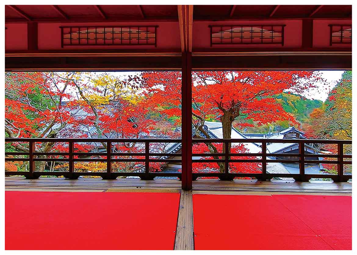 紅葉イベントを京都「柳谷観音」にて11/12～12/4開催。ライトアップ、上書院特別公開、限定御朱印も登場