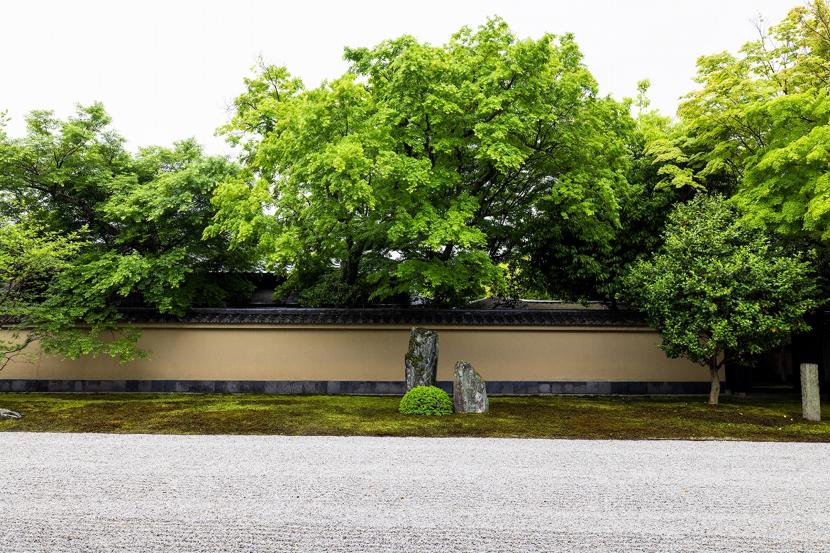 京都・大徳寺の塔頭寺院「黄梅院」「興臨院」「総見院」が3月11日より順次特別公開されます！