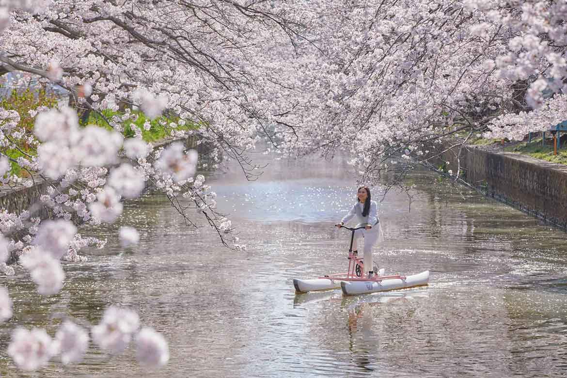 BEB5土浦、水上自転車に乗って茨城の桜の名所”新川”で「お花見水上サイクリング」開催