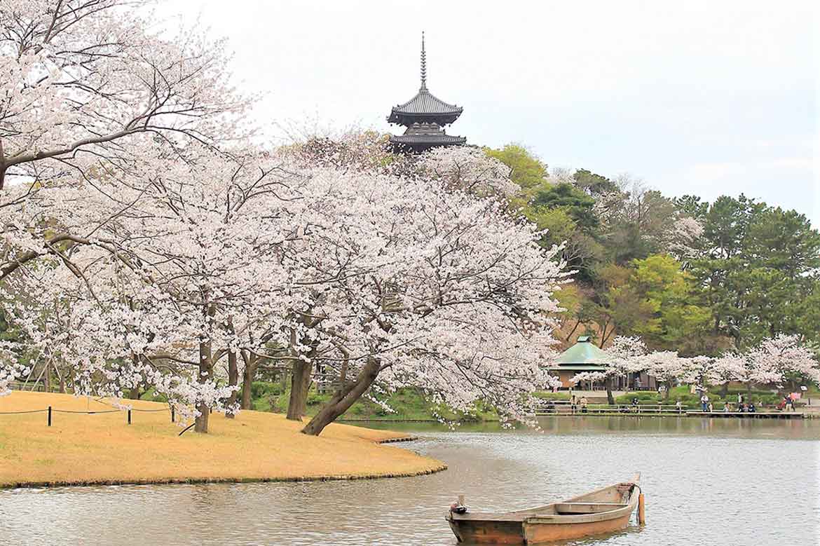 横浜・三渓園で満開の桜とジャズを楽しむ『桜めぐり』開催