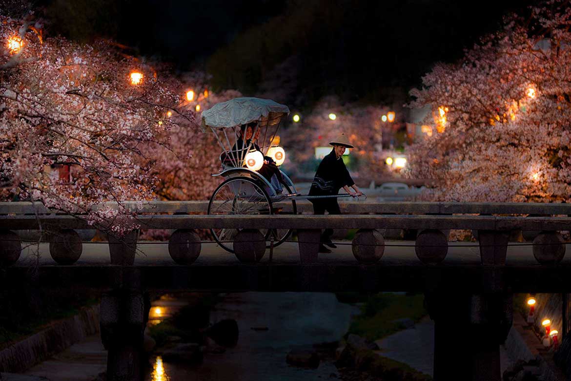 界 玉造、両岸2kmに渡る400本の桜を堪能「夜桜巡り夜行人力車」実施
