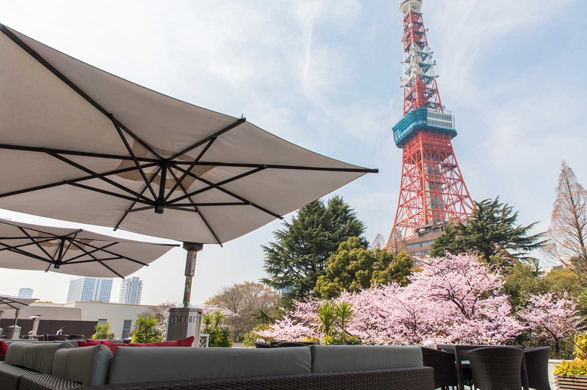 眼前に咲く桜と東京タワーを眺める、東京ならではのお花見「桜まつり 2023」開催