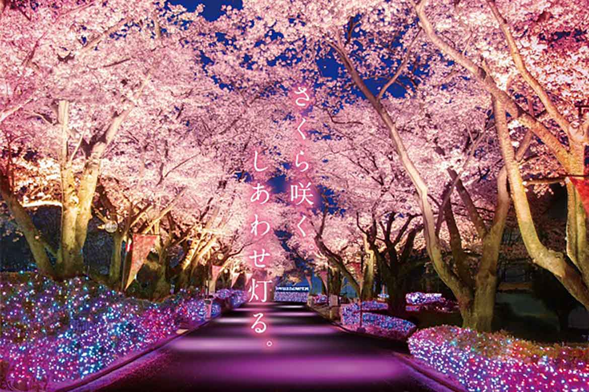 さくら咲く。しあわせ灯る。「夜桜ジュエルミネーション」よみうりランドにて開催