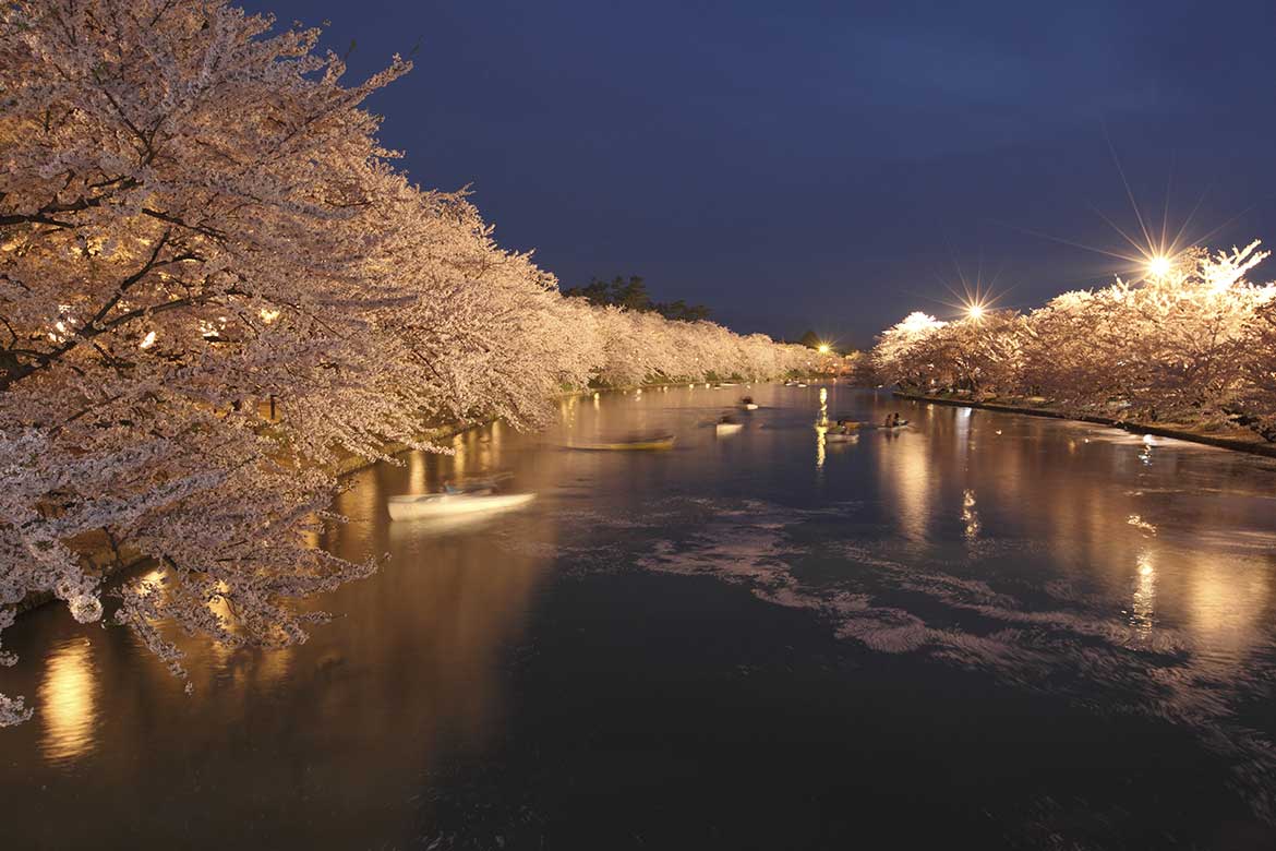 一生に一度は見たい！散りゆく姿まで美しい日本一の桜スポット