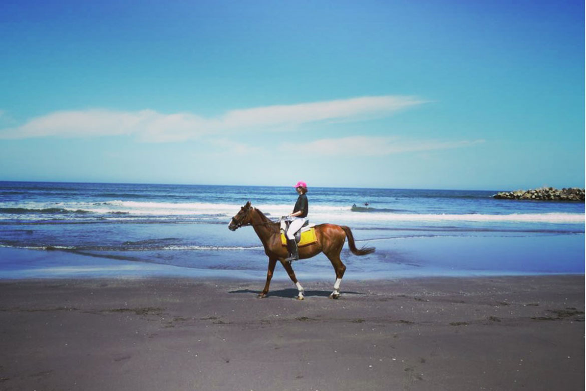 雄大な海を眺めながら乗馬を楽しめる「一宮乗馬センター」