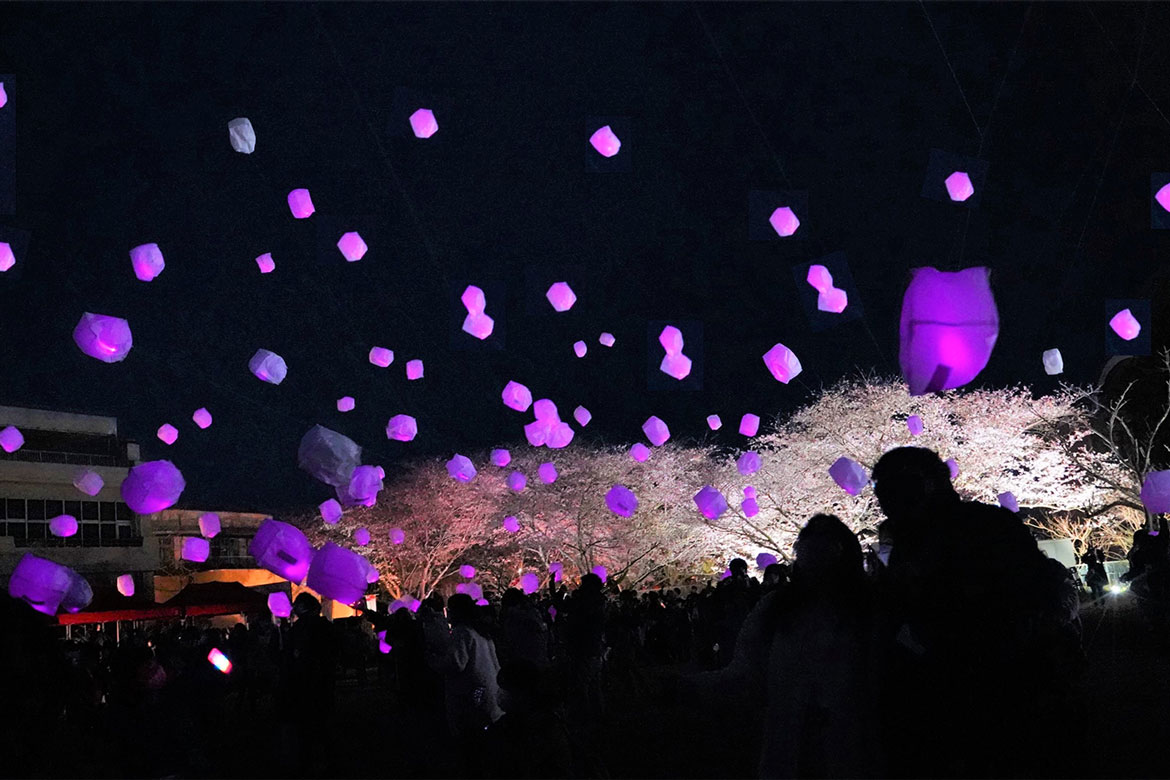 夜桜をバックにランタンが灯る「おいも夜桜スカイランタンフェスティバル」開催