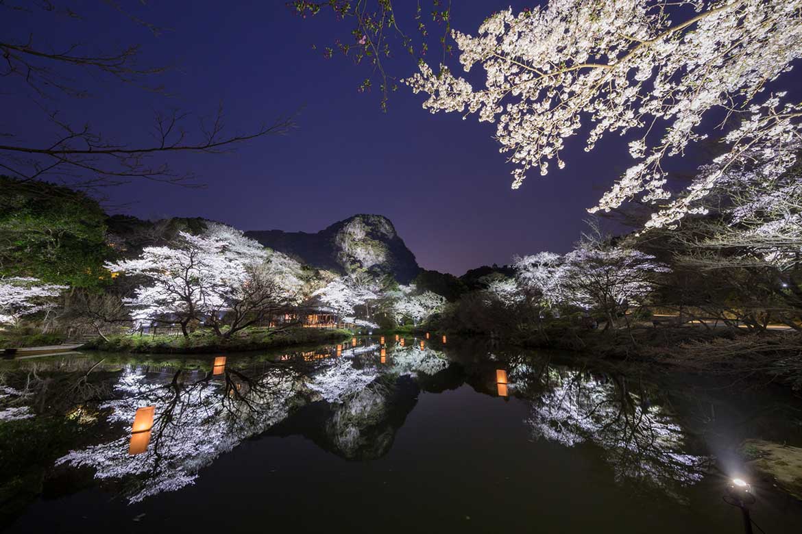 水面に映る九州最大級のライトアップは必見！佐賀県武雄市で桜の名所を満喫