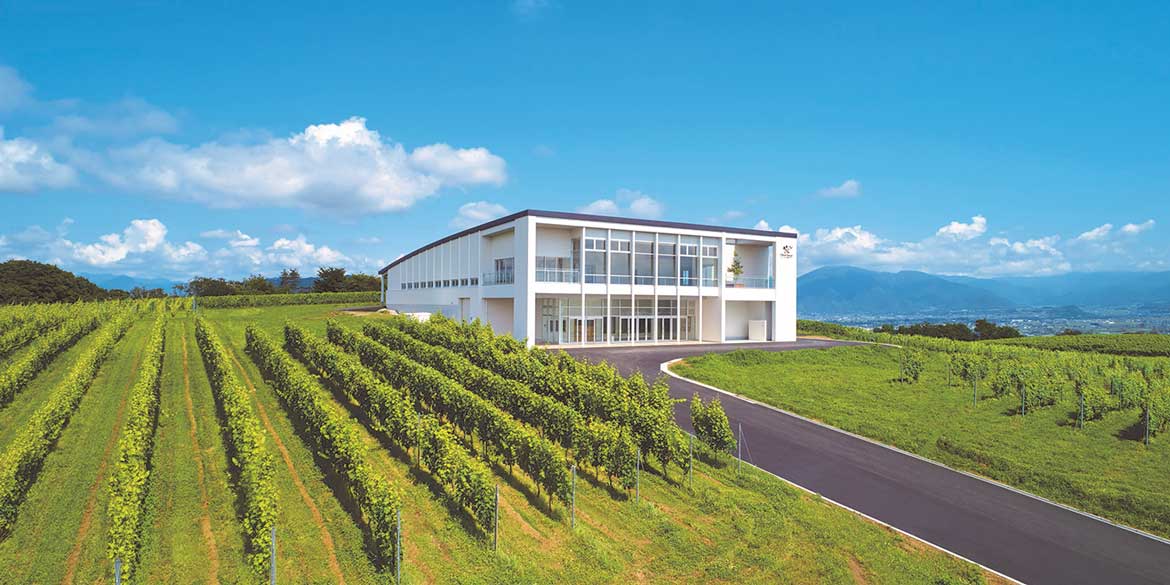 日本ワイン造り145周年を迎え、「シャトー・メルシャン」の取り組みをさらに深化。“日本を世界の銘醸地に”