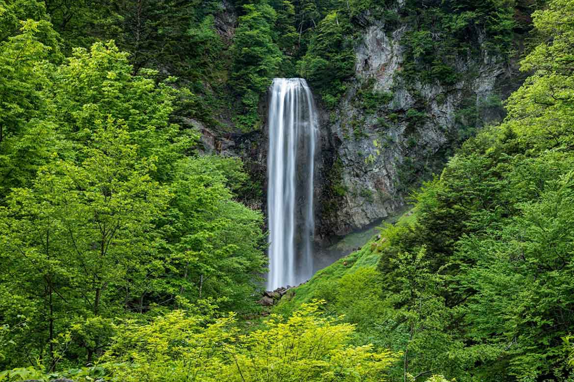 若葉のみずみずしさを引き立たせる、飛騨を代表する名瀑「平湯大滝」