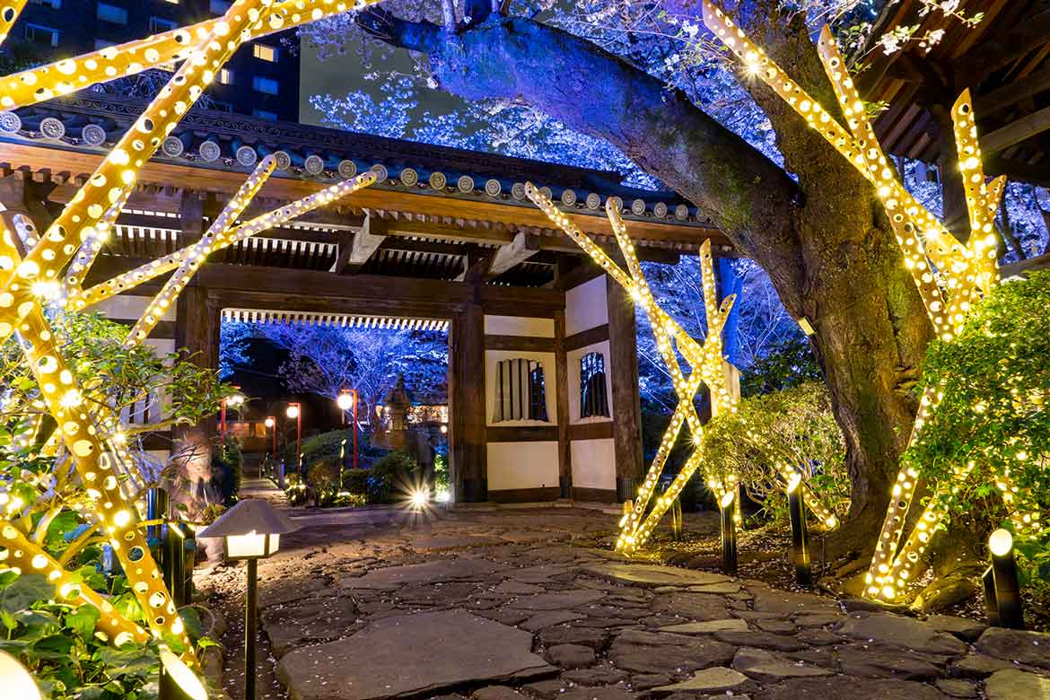 グランドプリンスホテル高輪 × ホテル椿山荘東京、自然の中で煌く「竹あかり演出」スタート