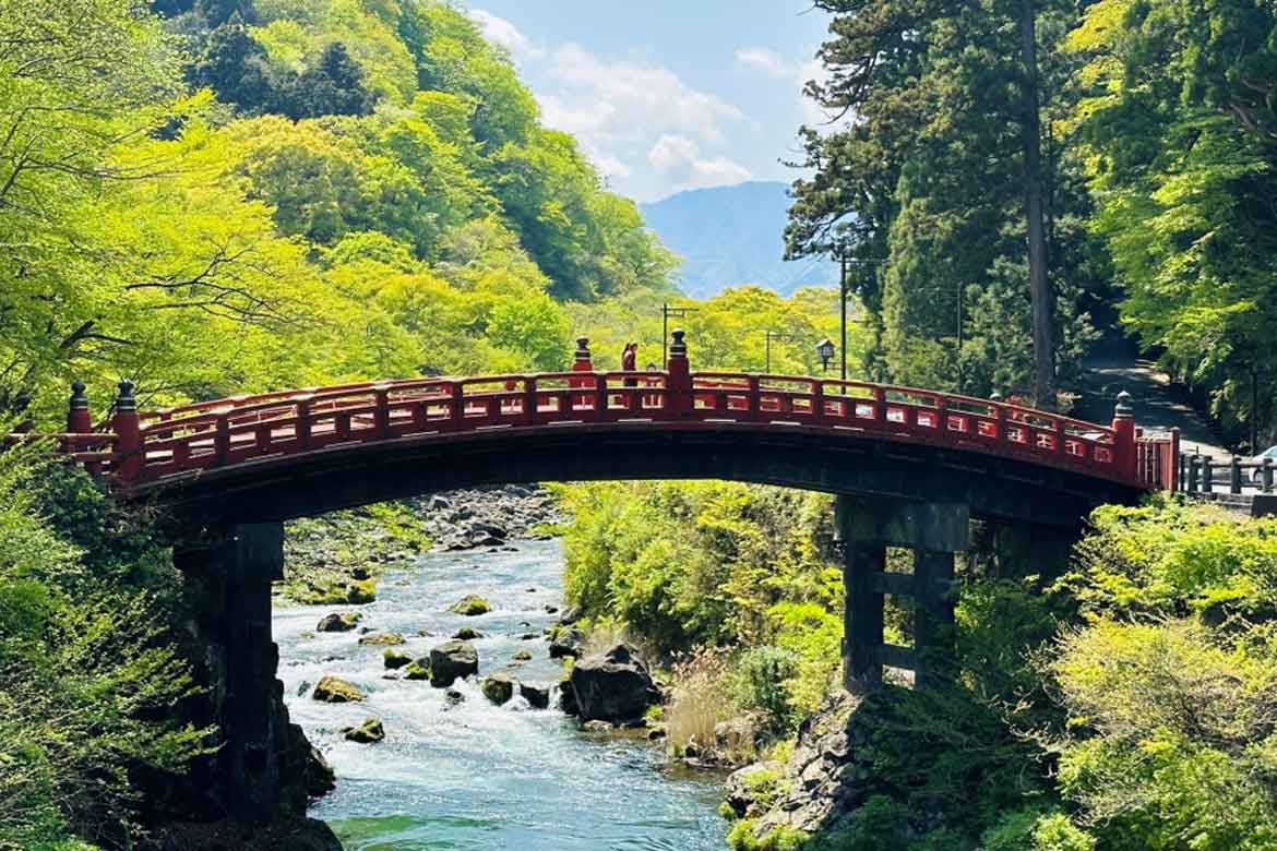 栃木・日光ドライブ ｜ 新緑のシーズン、絶景とグルメで贅沢なひとときを過ごす