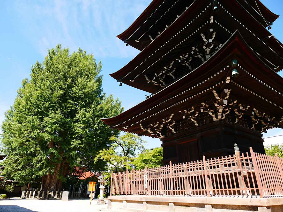 「飛騨国分寺」の三重塔は飛騨で唯一！樹齢1250年の大イチョウも必見