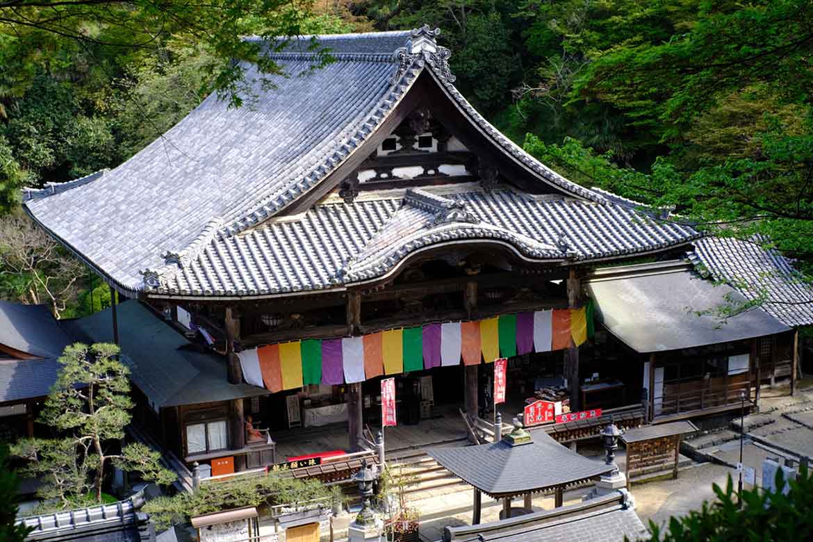 美しい天竺牡丹の花手水も。日本で最初の僧正が建てた「岡寺」