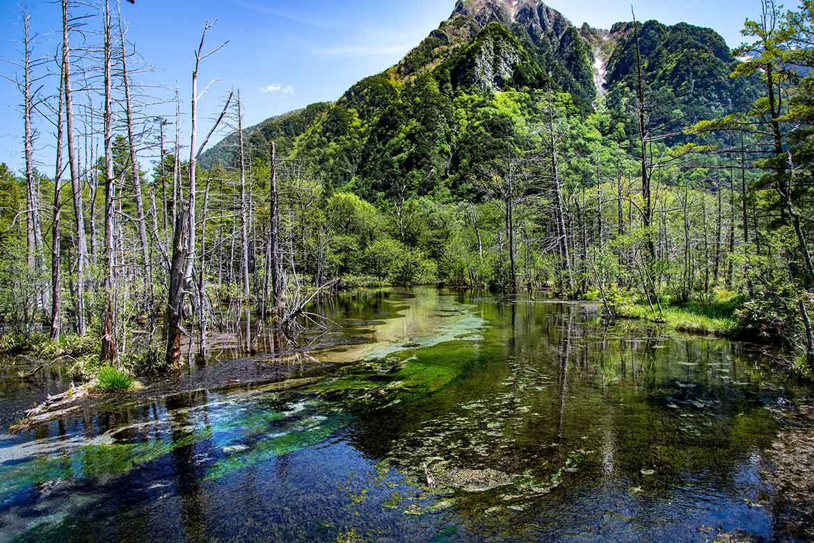 自然が凝縮されたような湿原スポット「岳沢（だけさわ）湿原」