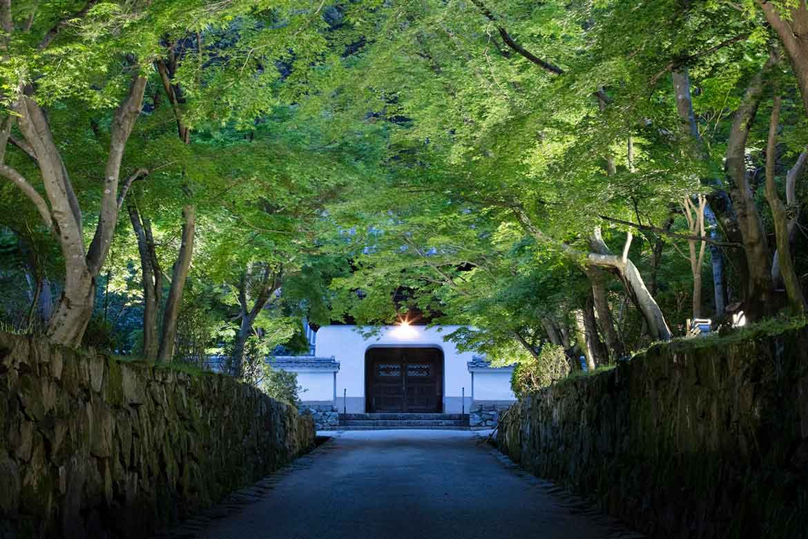 ネイキッドによる青紅葉ライトアップや提灯アートで彩る京都・宇治の夏。「京の七夕 in Uji」とコラボ開催