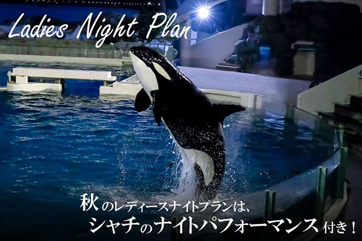 鴨川シーワールドで、夜の水族館を満喫『レディースナイトプラン』開催!8/23より予約受付開始