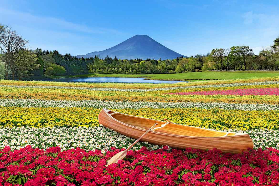 富士本栖湖リゾート、カラフルな花々が咲き誇る「2023虹の花まつり」9/1スタート