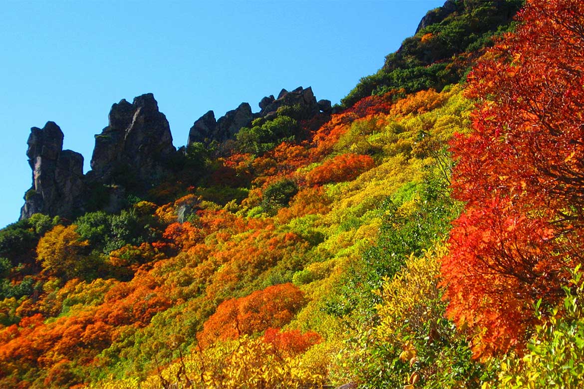 驚きの紅葉、層雲峡温泉へ！「層雲峡 朝陽亭」で一足早い紅葉を満喫