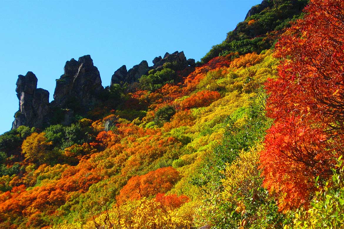 驚きの紅葉、層雲峡温泉へ!「層雲峡 朝陽亭」で一足早い紅葉を満喫