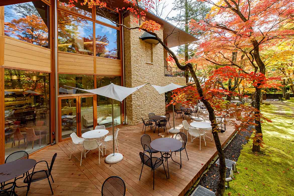 軽井沢、東京ばな奈グループの「幻想的な森のレストラン」に秋の新作アフタヌーンティー登場