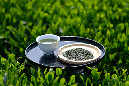 【100年フード】独特の香ばしさと濃い味わいを自宅でも！埼玉県「狭山茶」