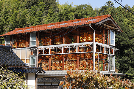 【100年フード】土作りから柿小屋での干し上げまで丁寧に作られる、島根県「東出雲の畑ほし柿」