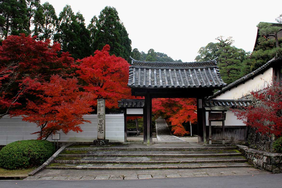 京都「酬恩庵 一休寺」、名勝庭園茶室「虎丘庵」の秋季特別拝観開催