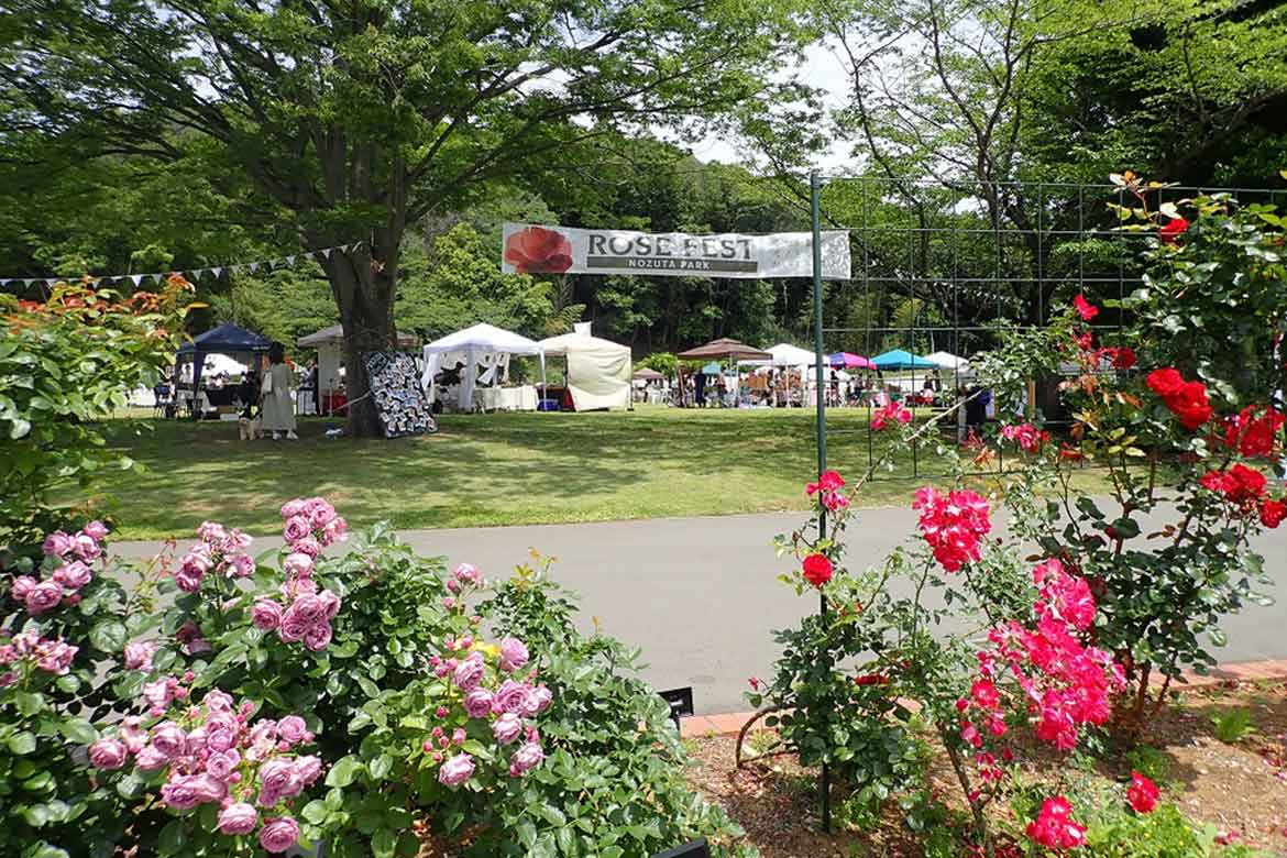 約450種類のバラが咲き誇る。町田市野津田公園にて「ROSE FEST 2023 秋」開催