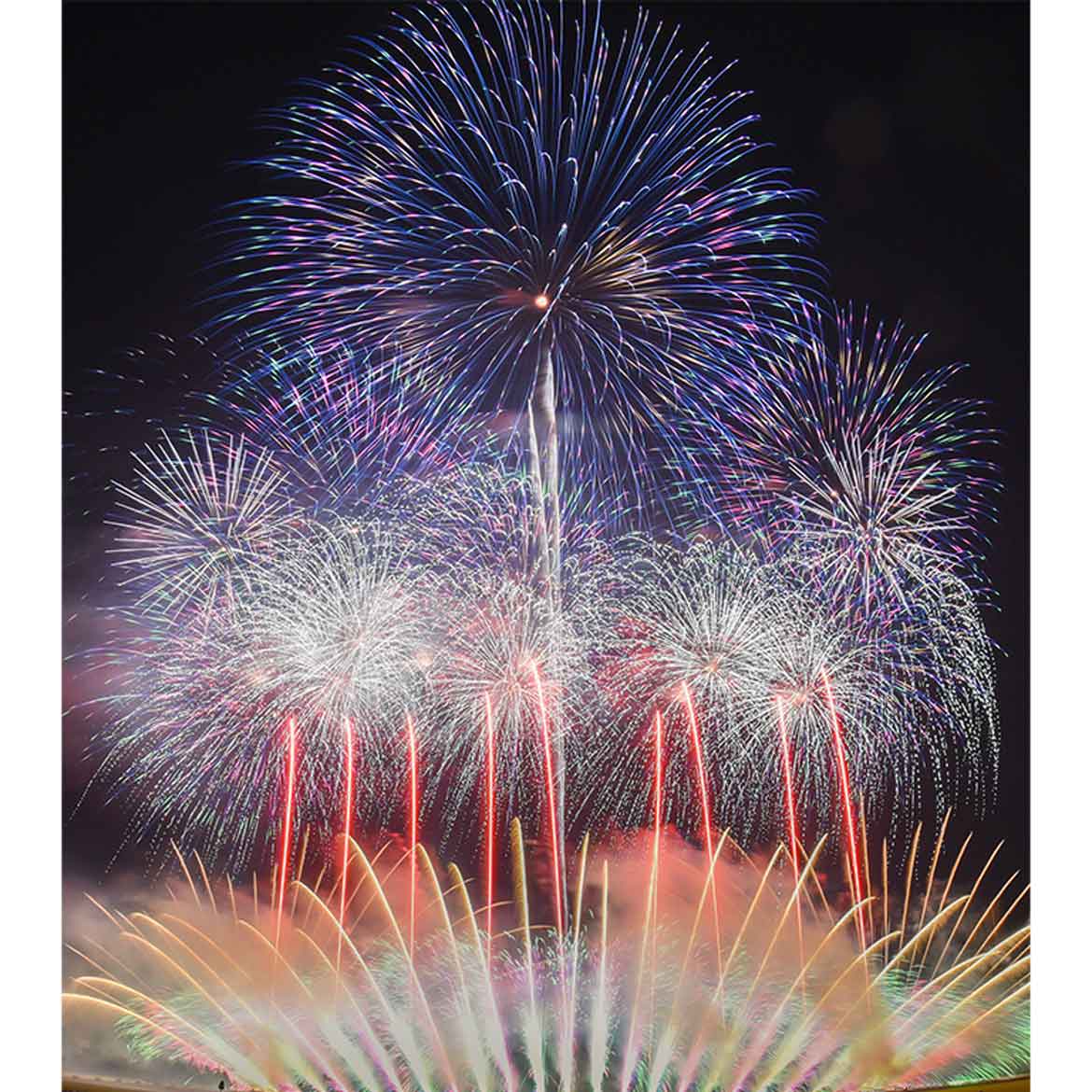 超一流の花火師が徳島に集結！全国花火師競技大会「にし阿波の花火」11/11開催