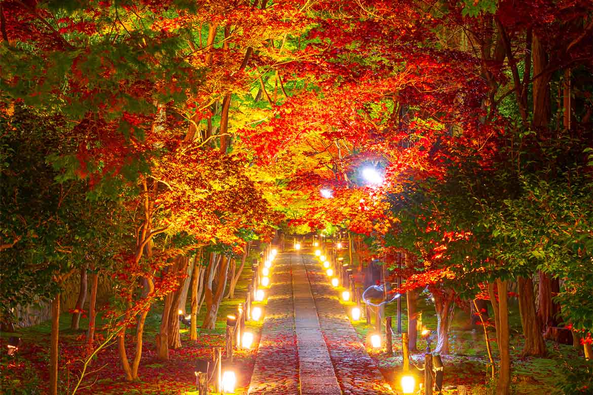 知る人ぞ知る紅葉スポット。京都嵐山「鹿王院 夜の特別拝観2023」開催