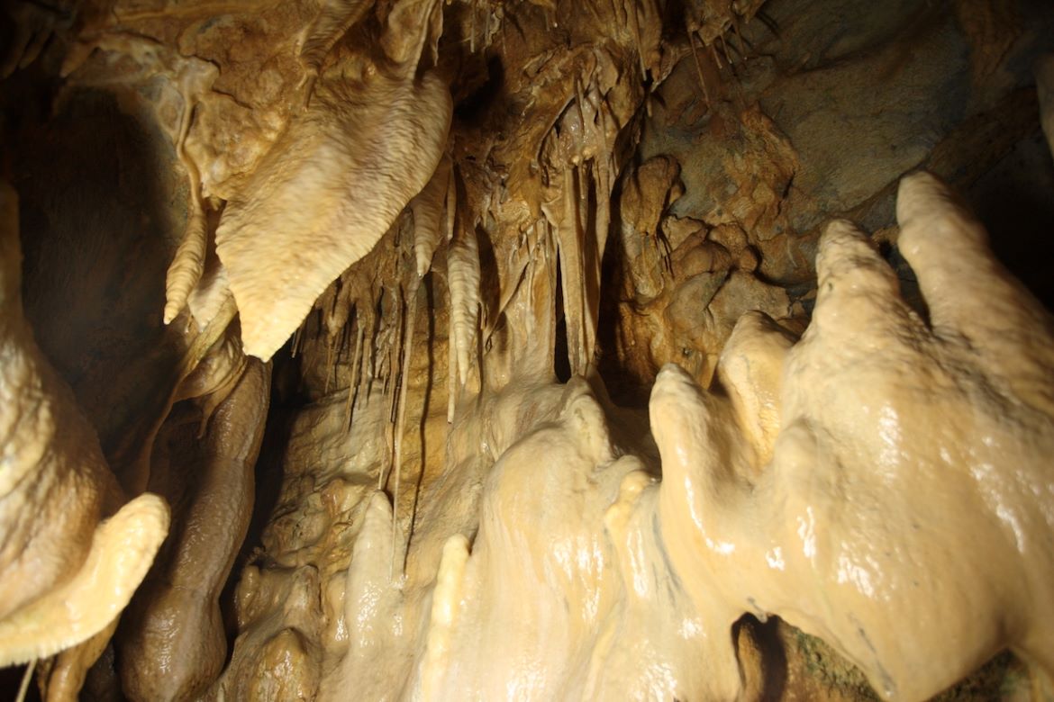 日本最古の鍾乳洞を地底散策「幽玄洞」