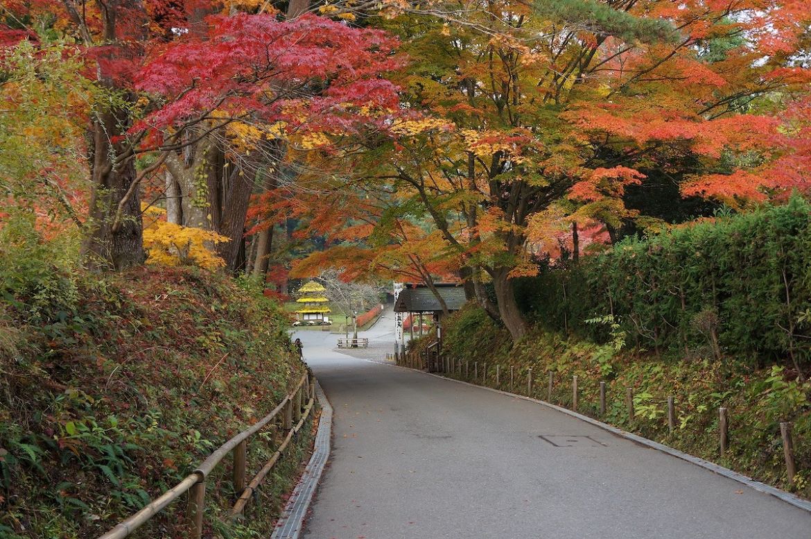 国宝や重要文化財、四季折々の景色など見どころ満載な世界文化遺産「中尊寺」