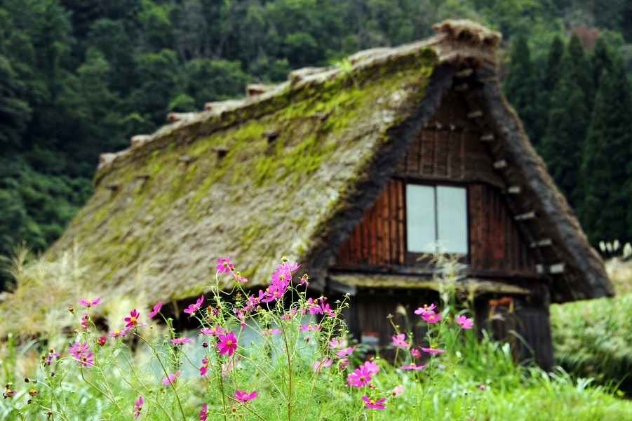 古き良き日本の原風景をゆっくり歩く「白川郷」