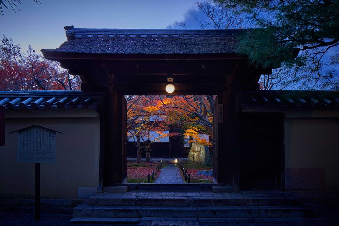 京都・大徳寺黄梅院が初のライトアップ！2日間限定、大徳寺黄梅院 『錦秋晩餐会』開催