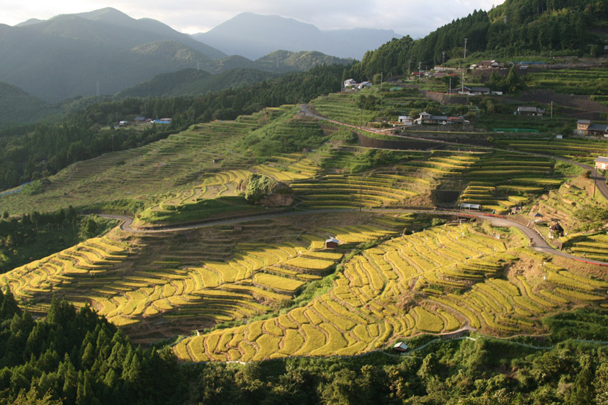 日本の原風景にうっとり。四季の絶景を楽しめる「丸山千枚田」