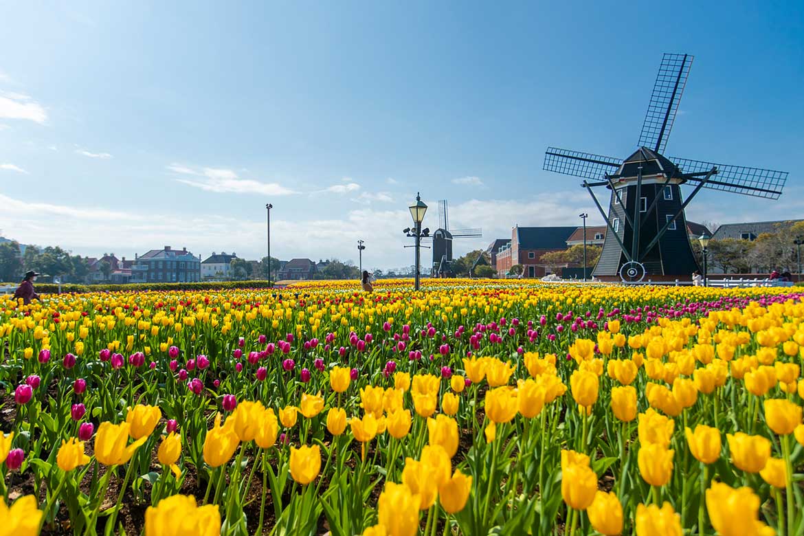 ヨーロッパの街並みにチューリップが咲き誇る「100万本のチューリップ祭」開催