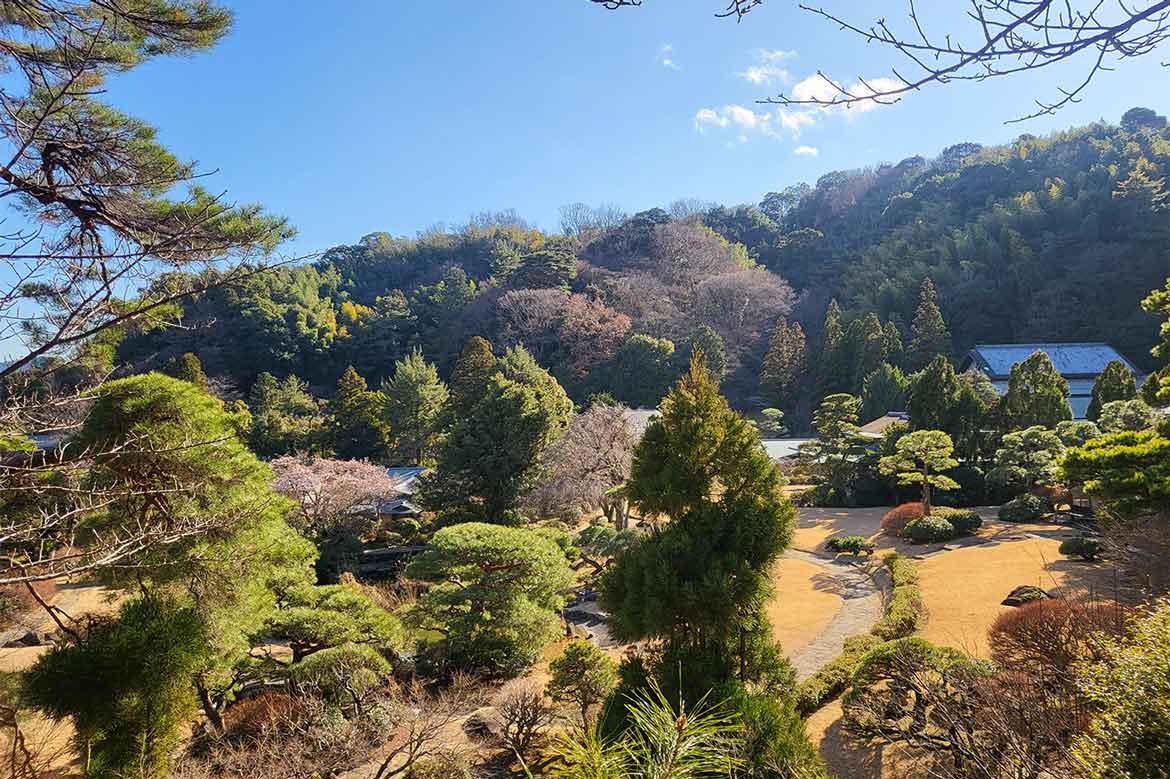 伊豆長岡温泉 三養荘、1日1室限定「心も身体も温まる 冬の三養荘時間」