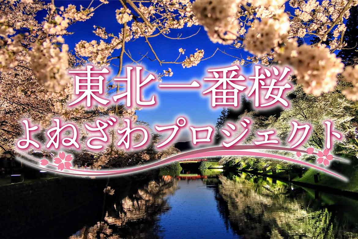 山形県米沢市「上杉雪灯篭まつり」に、一番桜を咲かせる「東北一番桜よねざわプロジェクト」