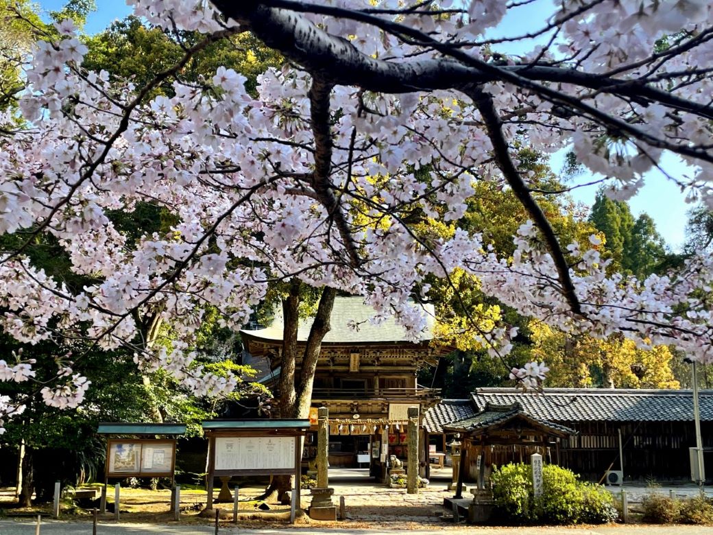 万の縁を結ぶパワースポット「櫻井神社」