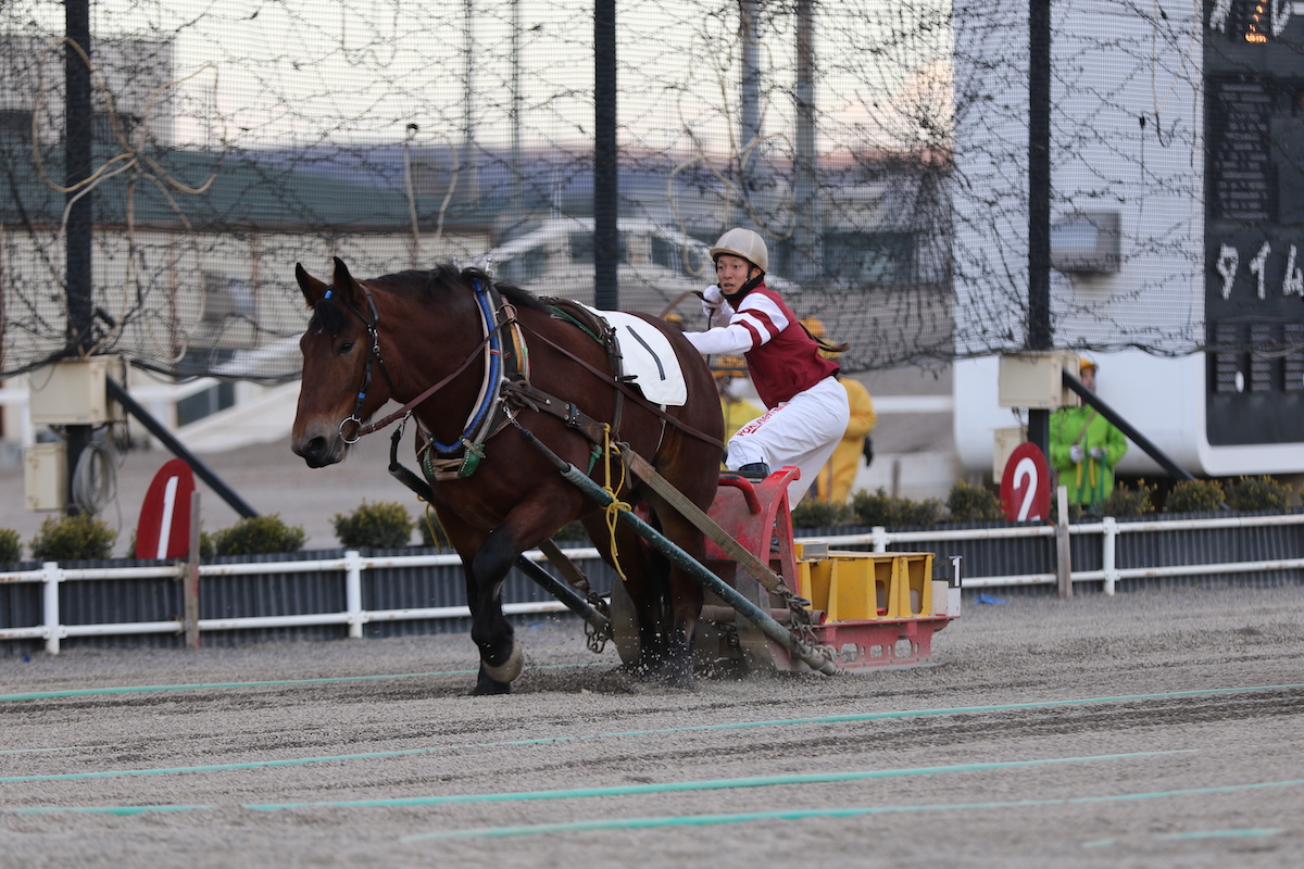 帯広市でしか見られないばんえい競馬「帯広競馬場」